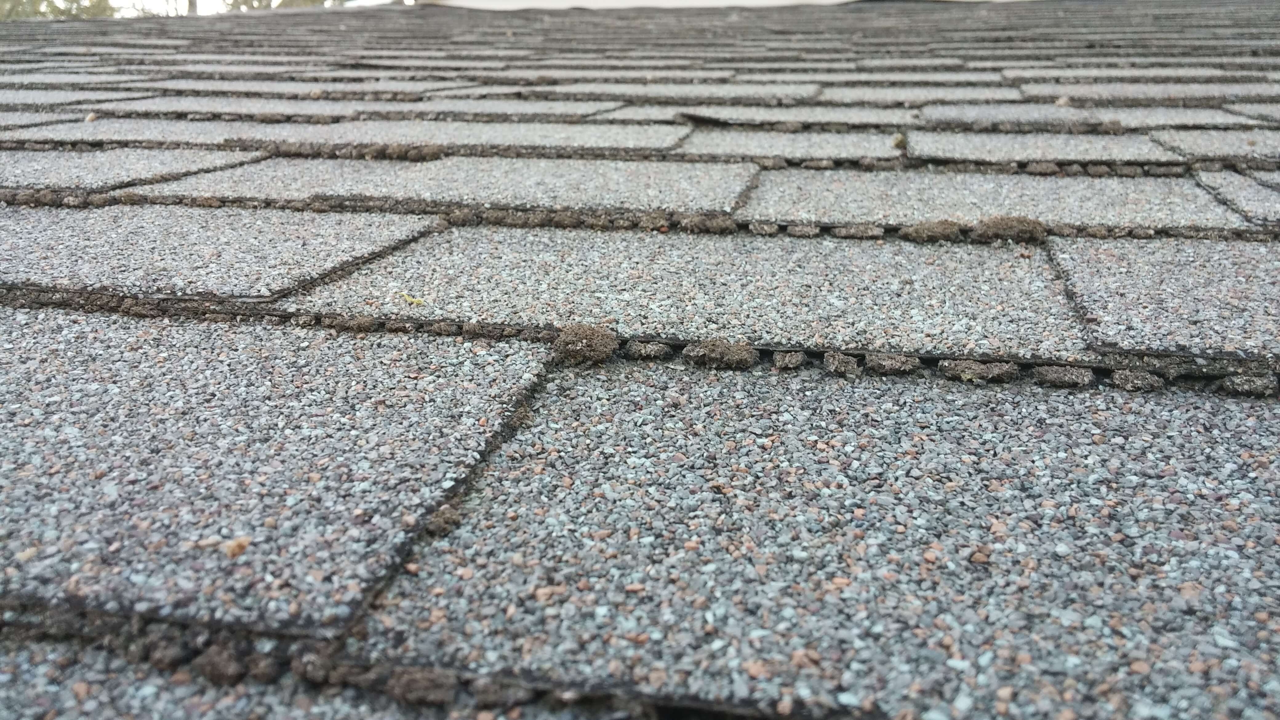 How to inspect your roof for damage in Mount Vernon, WA