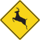 How to lower your risk for a deer collision in Mount Vernon, WA